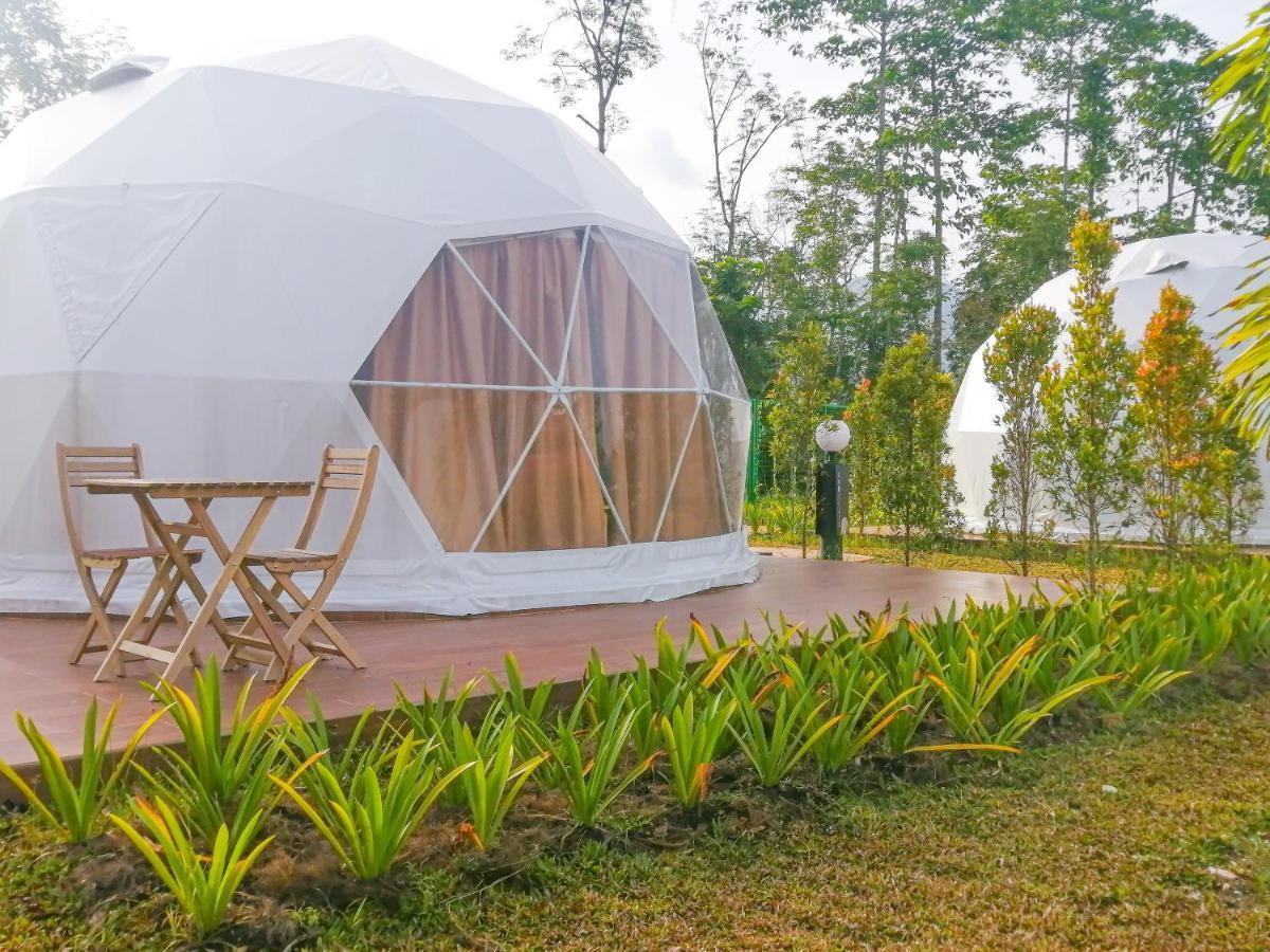 The Dome @ *